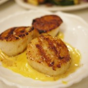 La Mancha Grilled Scallops, Saffron Sauce