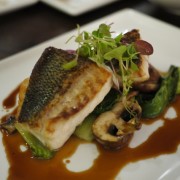 Wild Ontario Pickerel