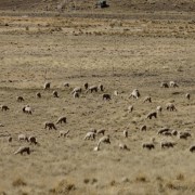 La Raya Pass 2