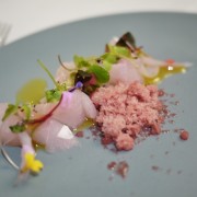 The Sixty-Mile Fish at 6 Degrees