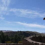Raqchi 10