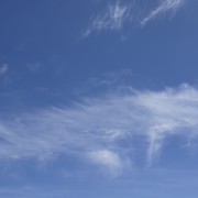P1060181 (800x534)