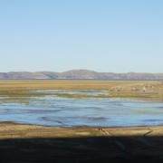 Pucara --> Puno